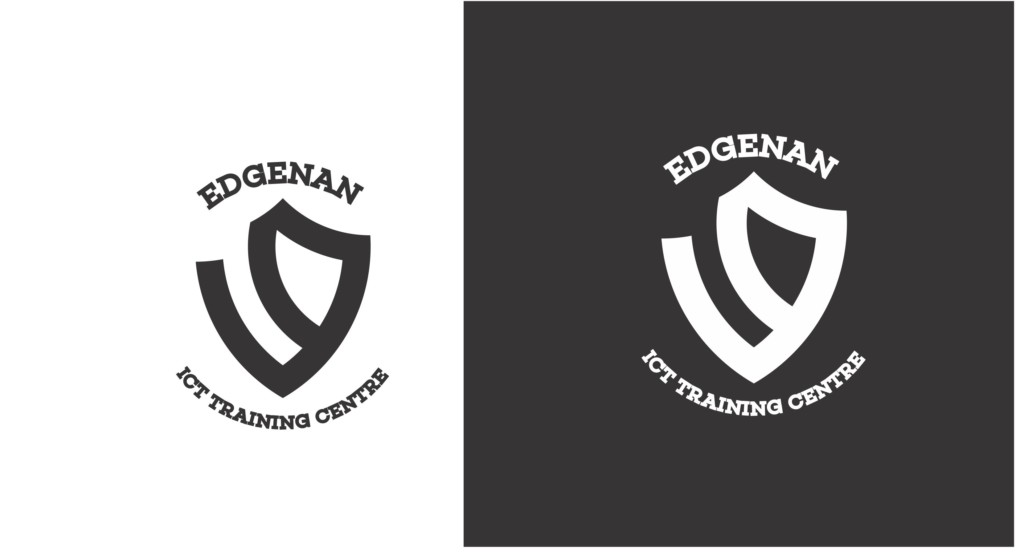 Edgenan ICT Training — work sample